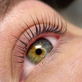 Lashlift